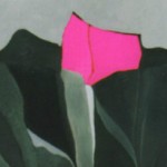 artwork 2002 joan walsh feature image