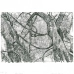 artwork 2012 joan walsh gallery image