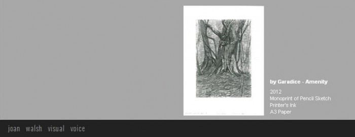 artwork_2012_joan_walsh (12)