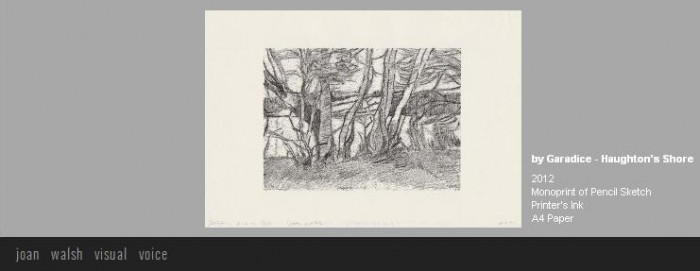 artwork_2012_joan_walsh (22)