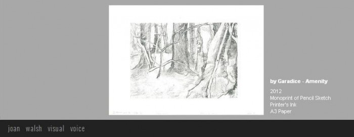 artwork_2012_joan_walsh (3)