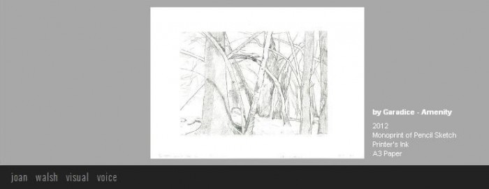 artwork_2012_joan_walsh (5)
